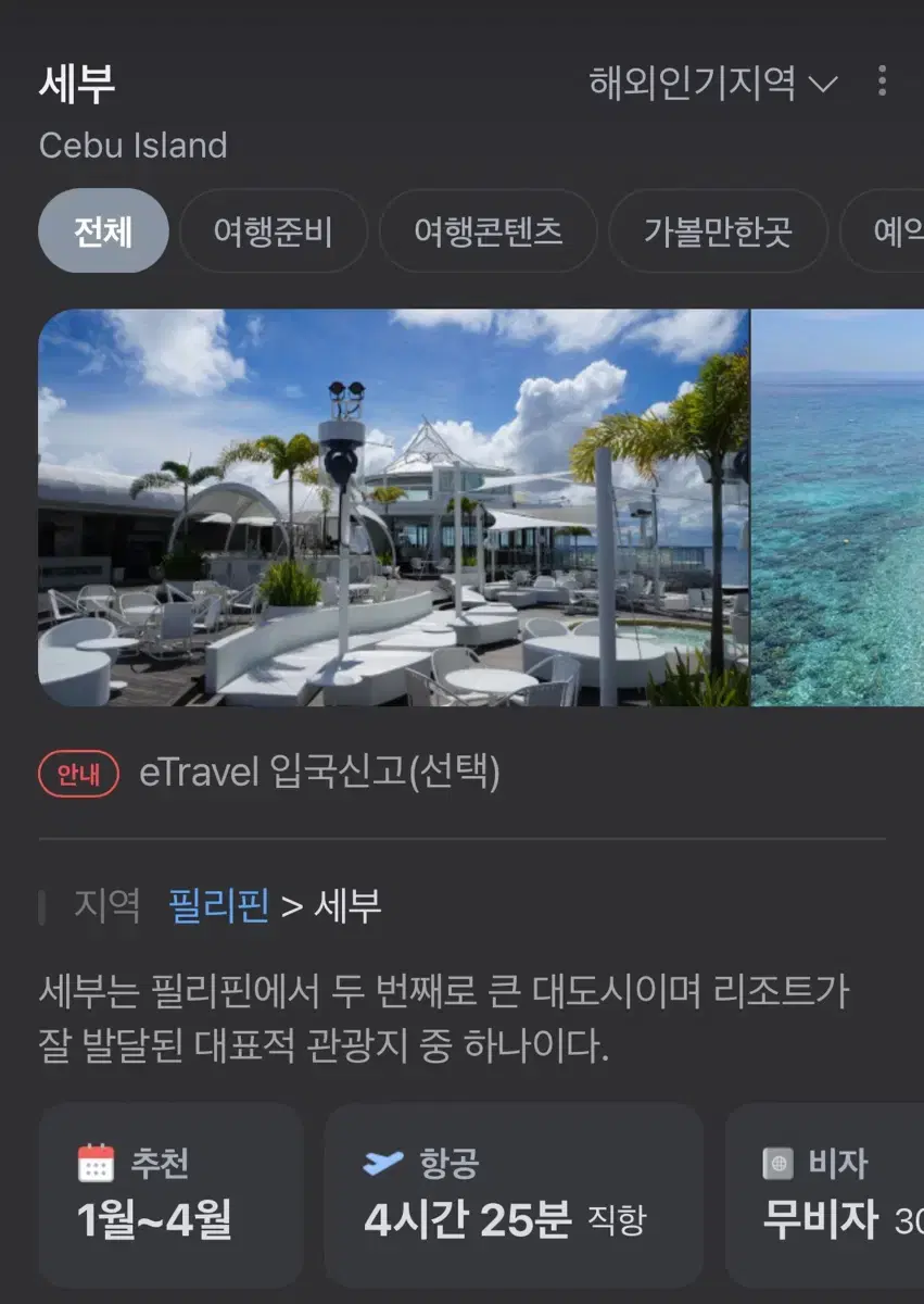 세부 비행기 티켓